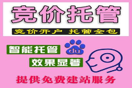 行业领先企业的关键词竞价排名实战案例